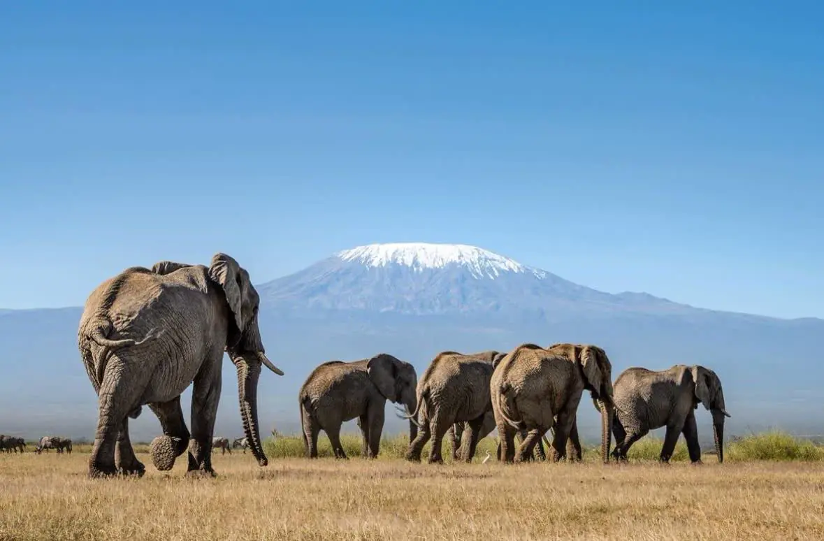 3 días: Amboseli National Park, Mount Kilimanjaro