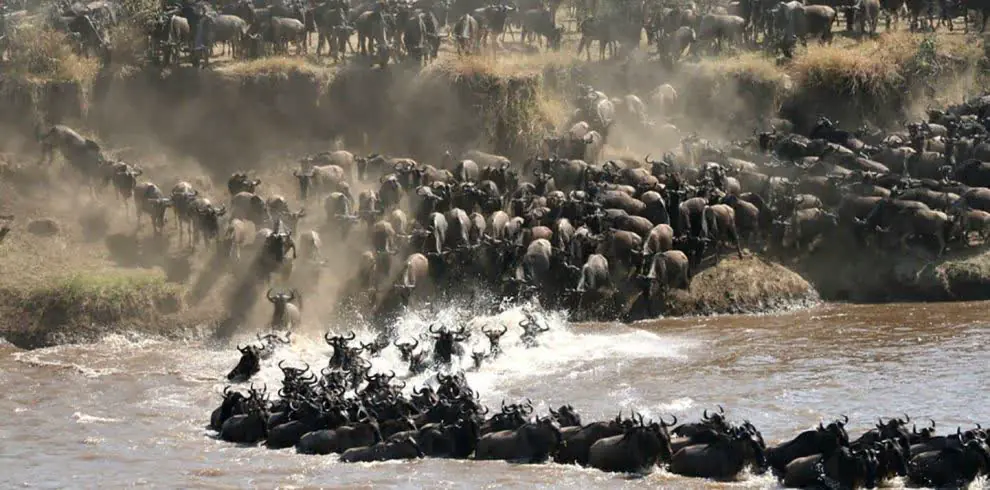 3 días: Masai Mara, Mara River
